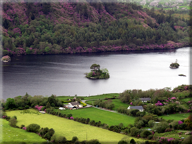 foto Parco di Killarney